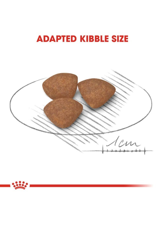 رويال كانين طعام صحي للجراء الصغيرة - 2 كجم - Image 3